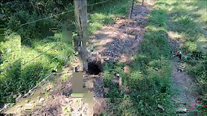 3.2K views · 25 reactions | Hidden Camera at Animal Hole: What Could it Be? | Exploring Alabama | Facebook