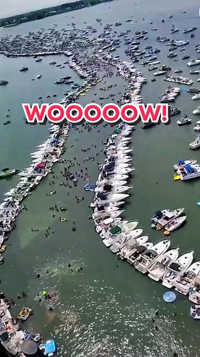 Party cove gets wildddd 🛥️ #boatlife | party cove