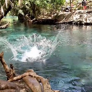 Kikuletwa hot spring is among the best natural water springs found in the Kilimanjaro region. There not much to explore just be ready to spend the day swimming in the Kikuletwa natural hot water spring. The pond can be very deep, in some places up to 10 meters, but the water is so clear that you can see right to the bottom. Hot Springs is an ideal place to ease those tired legs after a strenuous ascent up Kilimanjaro. They’re a little bit of heaven that’s perfect for a daytrip, and those warm bl
