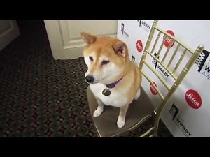 FRIDIARY: WEBBYS AND A BOOK AND MORE SECRETS