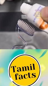 374K views · 10K reactions | Facts in Tamil Reels Recap 125. FB@Tamilfactss Insta@Tamil.Facts_ . #tamilmeme #tamilnews #tamilvideo #tamil #tamilstatus #tamilan #kollywood #tamilmemes #love #tamilnadu #tamilcomedy #tamilmovies #trending #bgm #kerala #malayalam #india #chennai #tamilnadu #bangalore #tamilnews #tamilfactss #fact #facts #interesting | Tamil Facts | Facebook