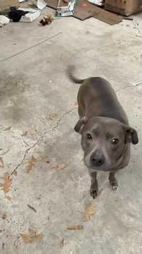 Cleaning my crusty garage part 2 of 3!