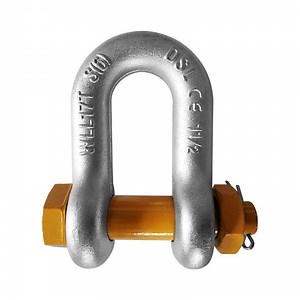 [Hot Item] Anchor and D-Ring Lifting Shackles