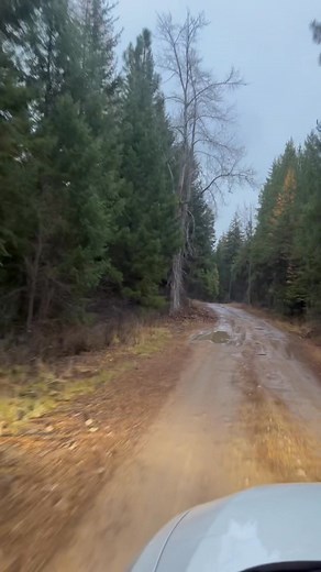 Jake Reynolds on Reels