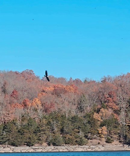 Hooked On Fishing, LLC on Reels