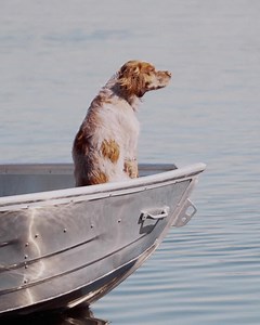 Ferietips! Bruk Mine båter i sommer🚣‍♀️🍃☀️ Som medlem i NJFF kan du få tilgang til båter over hele landet. Alle båtene er plassert i vann med gode fiskemuligheter. Du bestiller en båtnøkkel som passer til alle båtene. 🔑Nå får du båtnøkkelen til kun kr. 150,- | Norges Jeger- og Fiskerforbund (NJFF)