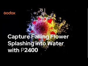 Godox: Capture Falling Flower Splashing into Water with P2400