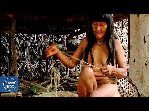 Huaoranis: Tribus de la Selva 3