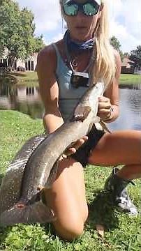 Girl catches DANGEROUS foreign fish in Florida HOA pond!