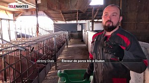 -- OUDON : UN JEUNE ÉLEVEUR DE PORCS BIO EN FINALE D'UN CONCOURS NATIONAL -- Et si le trophée "Graines d'Agriculteurs" prenait la route de la Loire-Atlantique ? Jérémy Diais, 29 ans, fait partie des dix finalistes de ce concours national qui récompense chaque année de jeunes agriculteurs (vote jusqu'au 19 septembre : www.demainjeseraipaysan.fr/graines-agriculteurs/le-concours). Installé depuis deux ans à Oudon, l'entrepreneur ne manque pas d'idée pour communiquer, partager sa passion, son métier