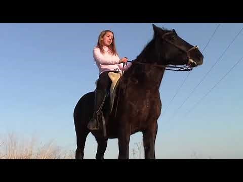 Girl Horse Riding - LIVE - Riding Lovers - HD