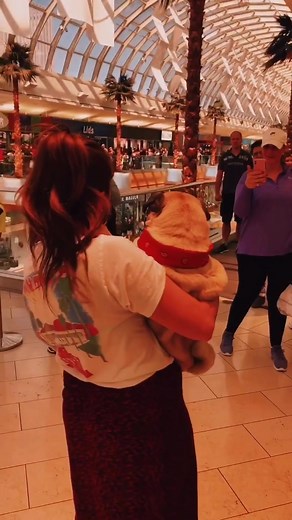 Original Song for Doug the Pug | Heartwarming Story Behind the Viral Tune