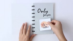 Eagle Discbound Refill Paper, Filler Paper, Inner Core, for Junior-Sized Discbound Notebooks, Arc Notebooks, 8-hole Punched, 60 Sheets, Both Size Printed, 8.5"x 5.5" (Blank)