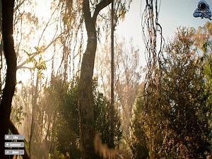 718K views · 17K reactions | Shipwrecked, hunted, and running out of time. ⏳ Watch full movie: https://plantationexhaust.com/vsuym3fwj?key=157c8bcefac05cb8655dba6afb0b4ae7 #SurvivalMovie #TombRaider2018 | Matte To Metallic | Facebook