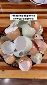 256K views · 1.9K reactions | How to prepare your egg shells for your chickens! I bake mine in the oven to kill any bacteria before offering them to my flock. #eggs #egg #eggshells #agricultureeducation #agriculture #chickensofinstagram #chickens #poultry #poultryfarming #poultryofinstagram #flock #crazychickenlady #chickenmama | Hannah Easton | Facebook
