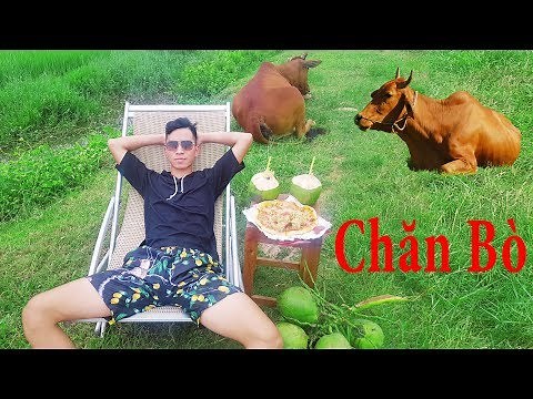 PHD | Chăn Bò Phong Cách Dubai | Cow