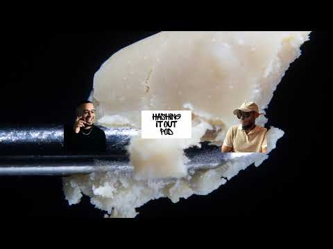 Live Reviews FT. Genuine experience + Elecrtric city hash + Mass Genectics