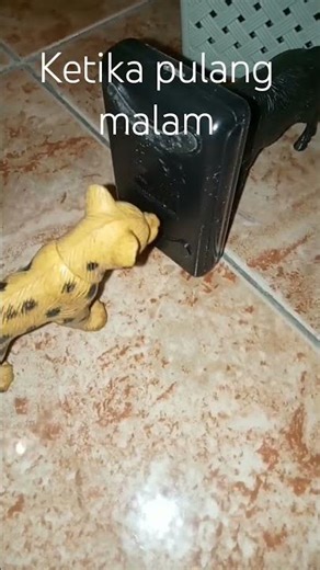 ketika pulang malam