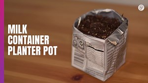 It's #NationalDIYDay. If you are looking for simple ways to recycle and reuse common household items -- try turning a milk carton into a planter. Check out more ideas here: https://bit.ly/40UPGfG | Pattrn
