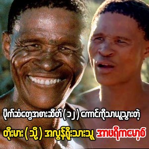 သရုပ်ဆောင်ခအဖြစ် ပိုက်ဆံတွေအစား ဆိတ်(၁၂)ကောင်ကိုသာ ယူသွားခဲ့သူ အာဖရိကမော့စ်(သို့) Toma #topmagazine #CRAZYENT #ntoma #nxautoma #အာဖရိကမော့စ် | Top Magazine