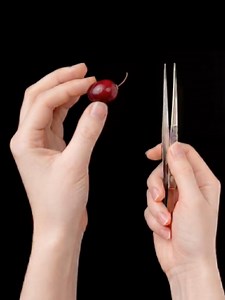 The Most Satisfying Cranberry Stem Extraction Ever… Headphones ON 🎧🤯 #oddlysatisfying #asmr #zoomin #fyp #cranberry