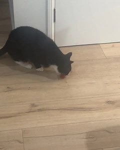 5.5K views · 103 reactions | I don’t know how many of you remember Mr...