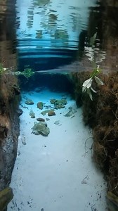 13K views · 18 reactions | Imagine cooling off in these hidden swimming holes as you explore the Brazilian forest.  Would you be taking a dip?   Jalapao, Tocantins, Brazil   Video by @andyspinelli | Jack's Flight Club | Facebook