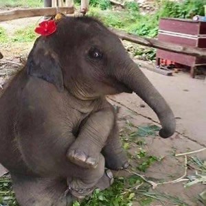 Have a nice weekend. | Animals and Beautiful things