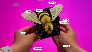 158 reactions · 58 shares | MERGE on Reels | Facebook