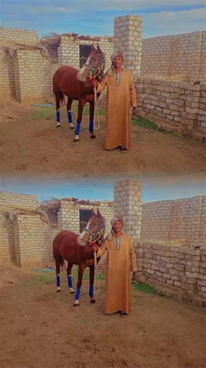 حسابات مقترحة