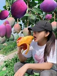 Great Organic Fruit Farm - Agriculture Technology | Israel Agriculture Love