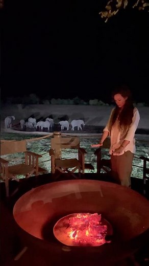 Eerie Moment With Elephants During A Thunderstorm ⛈️🐘✨ #wildlife #elephantlovers #elephants #nature