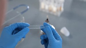 Chemical Experiment Being Conducted Reagent Reactions Stock Footage Video (100% Royalty-free) 3745226985 | Shutterstock