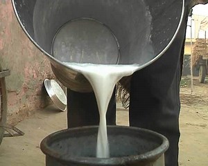 How to find if your milk is adulterated? Use this kit