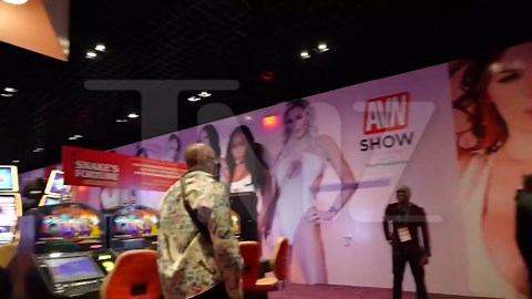 Porn Pros Duke It Out at AVN Awards on Video, Vegas Police Investigating