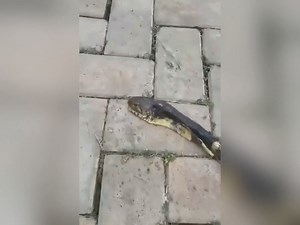 29K views · 148 reactions | Why You Should Always Fumigate Your...