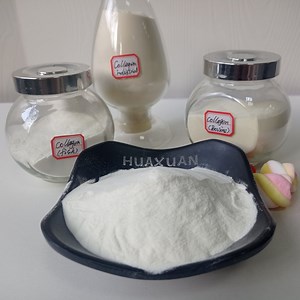 [Hot Item] 100% Pure Hydrolyzed Collagen Powder Type II Collagen