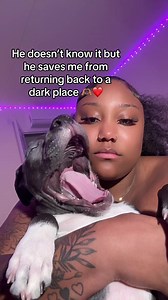 Get a Boy Dog: The Sign You Need Right Now