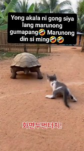 804K views · 18K reactions | Mga problema? Itawa mo na lang yan藍藍藍 #funnyvideo #fblifestyles #algorithm #viewersfriendsfollowersnonfollowers #ctto | Lida Baquilar | Facebook