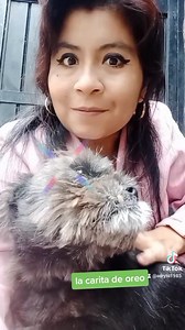 Gracias a quienes me siguen en tik tok ya casi somos 13k | Adriana Torres