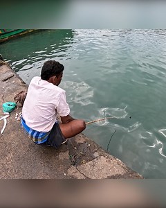 237K views · 838 reactions | Mullet & Rabbit Fish Fishing with Bamboo Stick Rod | Triple Hook Setup Catch #MulletFishing #RabbitFish #TripleHook #BambooRodFishing #fblifestyle | Kadal Raasa Fishing | Facebook