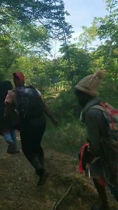 43K views · 189 reactions | Ejército detiene 19 indocumentados en puesto de chequeo El Guanal en Santiago Rodríguez. #NoticiasSIN https://noticiassin.com/autoridades-detienen-a-19-indocumentados-2004193 | Noticias SIN | Facebook