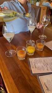 Family vacation pt 2🥂🐾💛 #familyvacation #vacation #sandiego #coronadoisland #dogbeach #beaches #vlog #travel #travelvlog | Peachyyymaddii