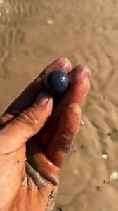 604K views · 6.7K reactions | #pirate #island #treasure #treasurehunt #treasurehunting #shipwreck #beach #metaldetecting | The Russian Archaeologist | Facebook