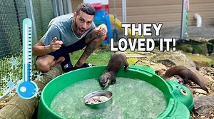 118K views · 3.2K reactions | ICE BATH For My OTTERS!簾 | Blake's Exotic Animal Ranch | Facebook