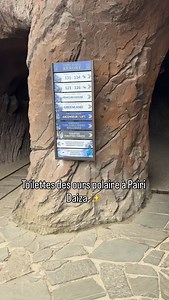 Savais tu qu’à Pairi Daiza il y a des toilettes ou tu peux voir les ours polaire ? Je te montre où elles se trouvent dans cette vidéo ⬇️ | Geraldine Photographe Animaux & Aventures