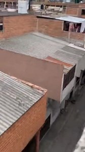 Este gato está loco 😂 | DivertiTops