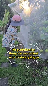 Mas gusto ko itong fitted fruit tree net kasi mas mabilis at madaling ilagay. #plantitalyninoz #kahalaman #guava #guavafruit #guavatree #fruittreesinmybackyard #garden | Plantita Lyn in Oz