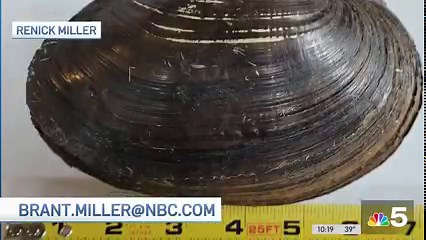 Weird Friday | Brant Miller