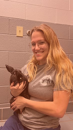 3.2K views · 47 reactions | ⭐️STAFF PICK⭐️ Meet Ebony! 李 Loey, our...